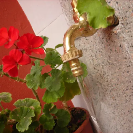 Ambrogini 2* Montecatini Terme